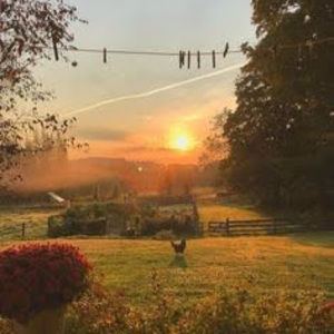 Meet your Posher, Addie